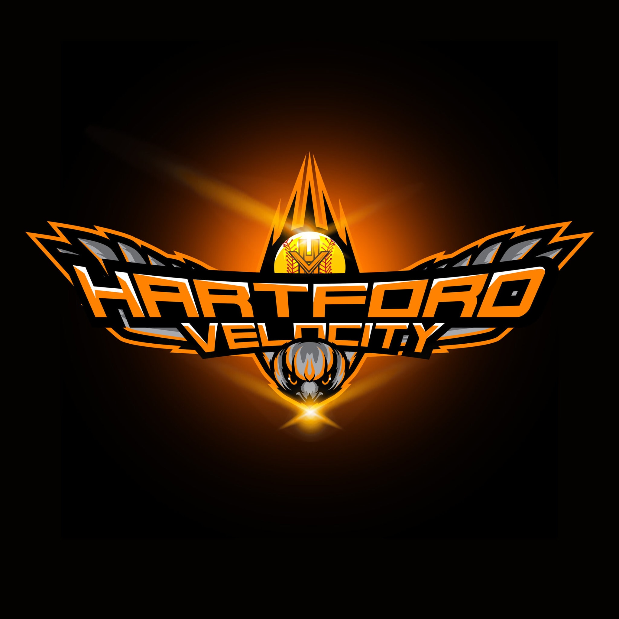 Velocity bird logo